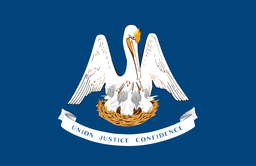 United States of America Louisiana LA State Flag