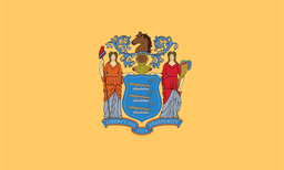United States of America New Jersey NJ State Flag